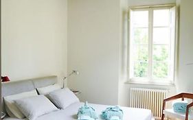 Yema Home-Lucca
